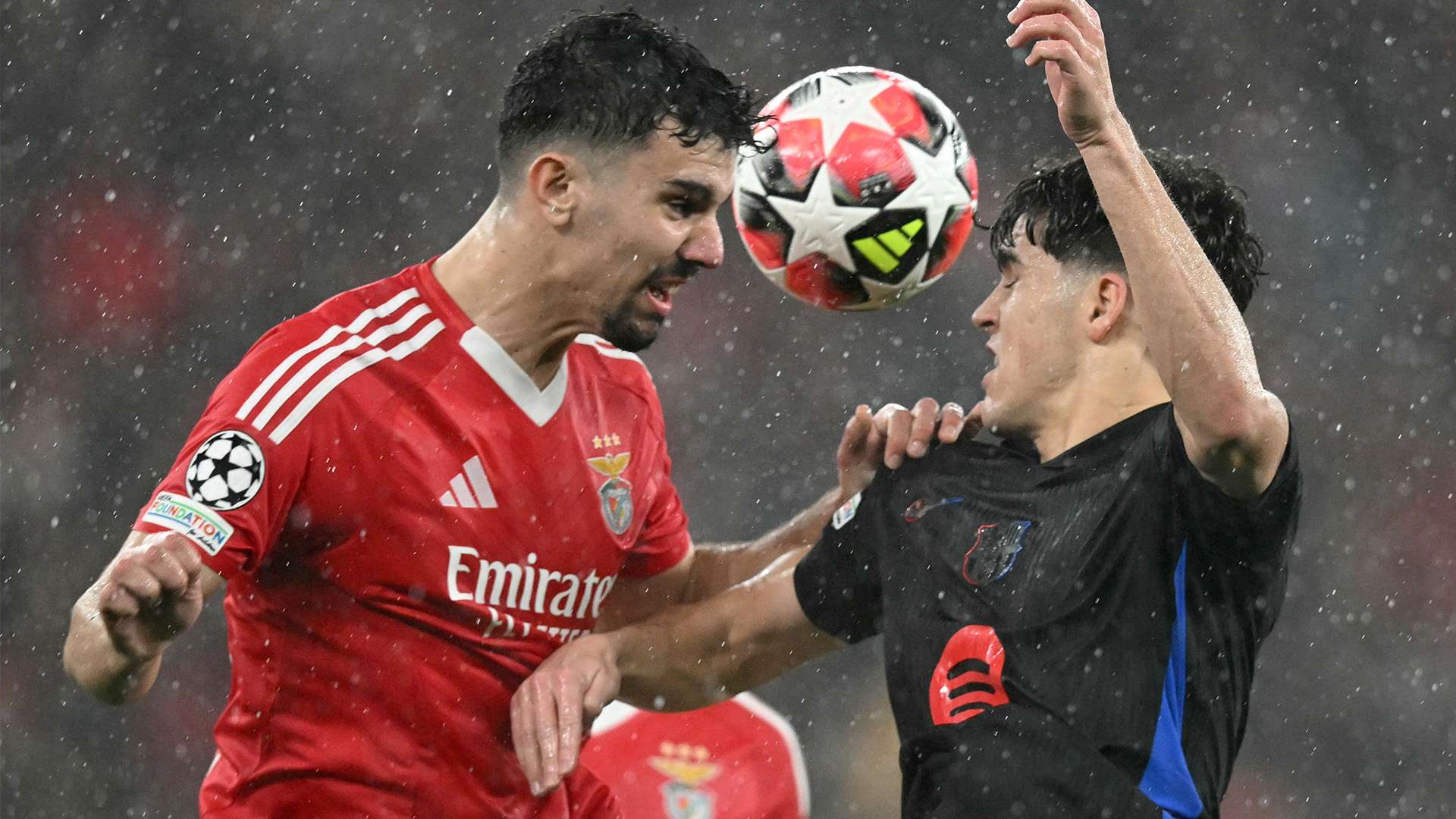 青训系统的 青训系统的