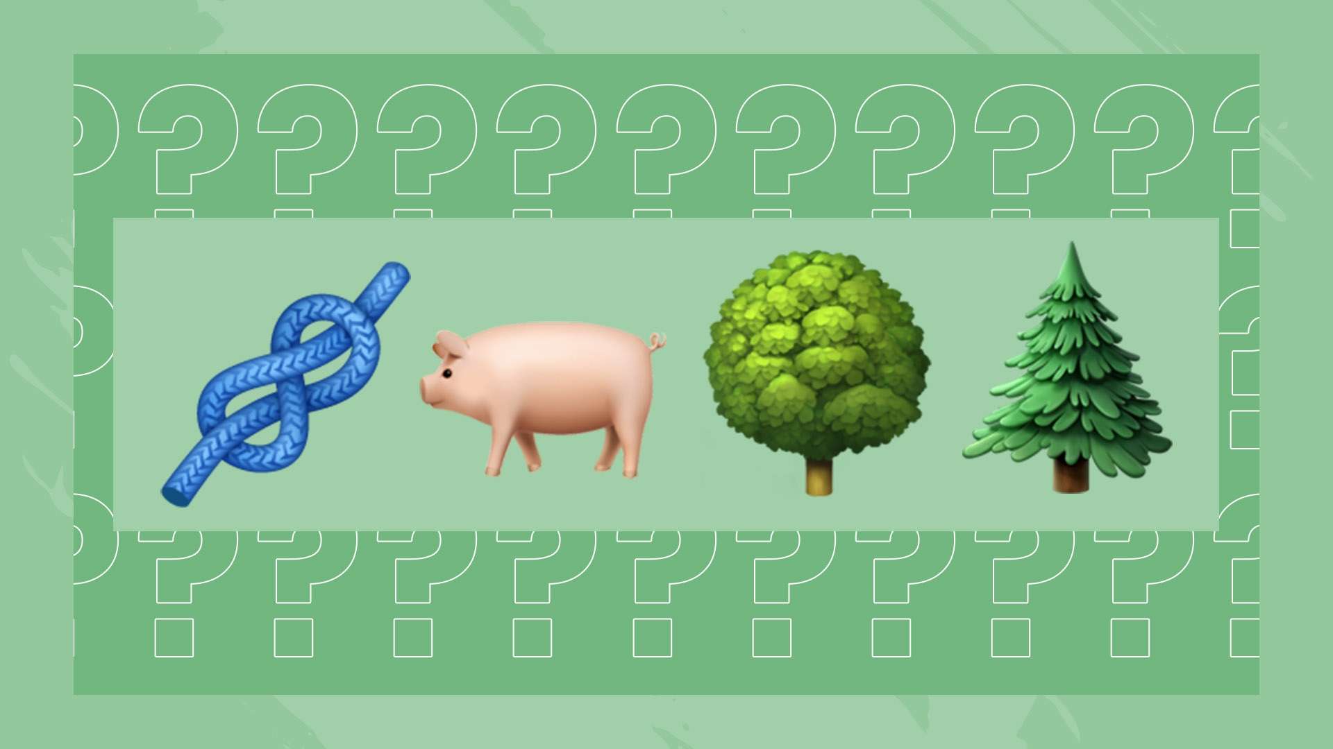 以及对未来 以及对未来